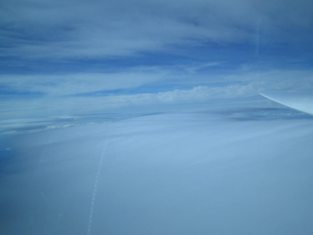 2006 (24)